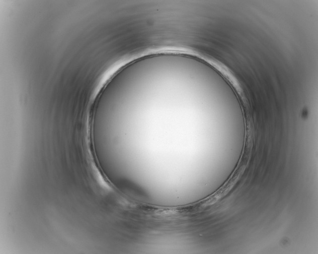 X0000092041006200709121001