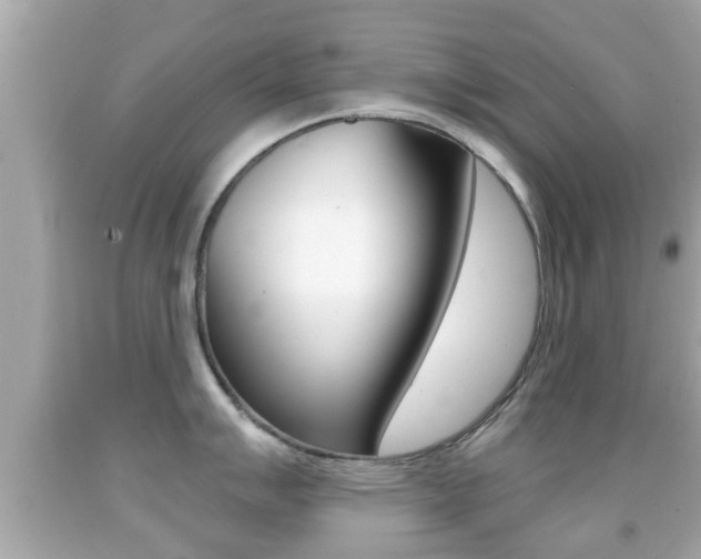 X0000092041007200709121001