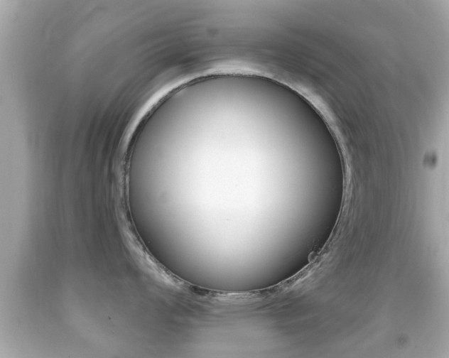X0000092041008200709121001