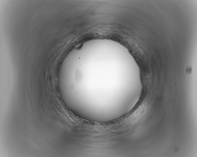 X0000092041009200709121001