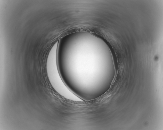 X0000092041010200709121001