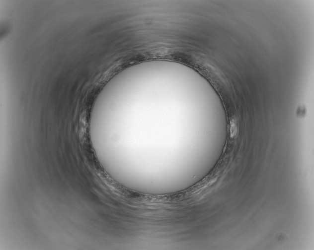 X0000092041011200709121001