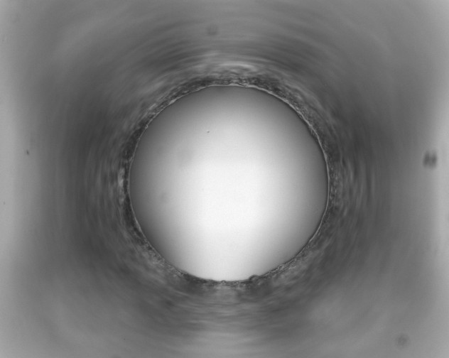 X0000092041013200709121001