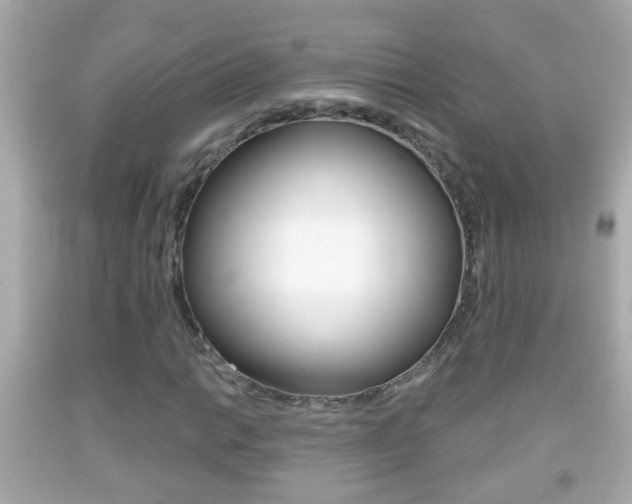X0000092041014200709121001