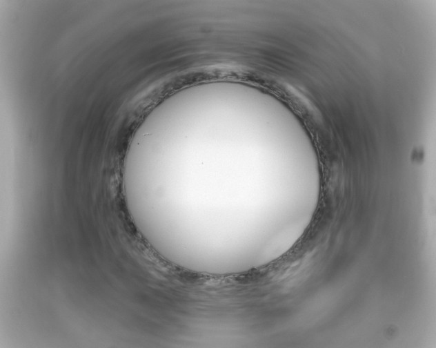 X0000092041015200709121001
