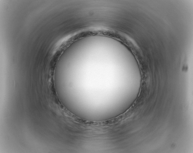 X0000092041016200709121001