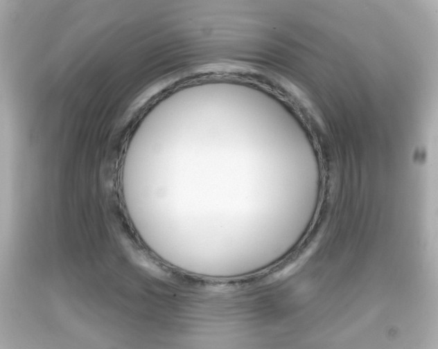 X0000092041017200709121001