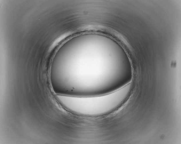 X0000092041018200709121001