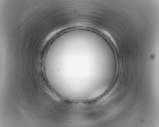 X0000092041019200709121001
