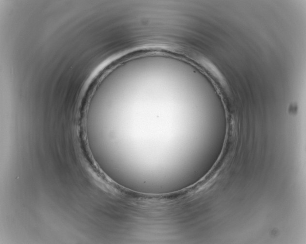 X0000092041020200709121001