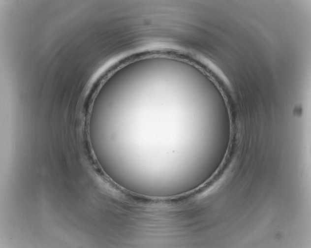 X0000092041021200709121001