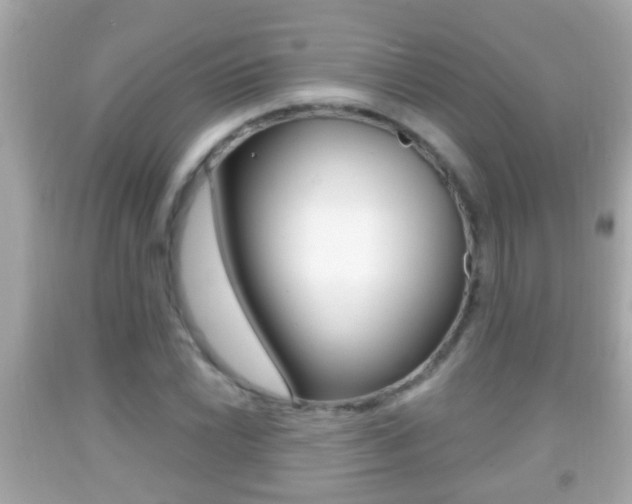 X0000092041022200709121001