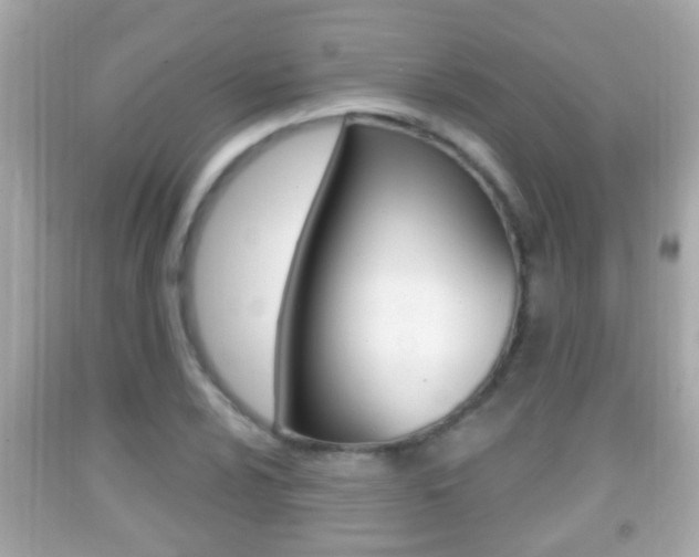 X0000092041024200709121001