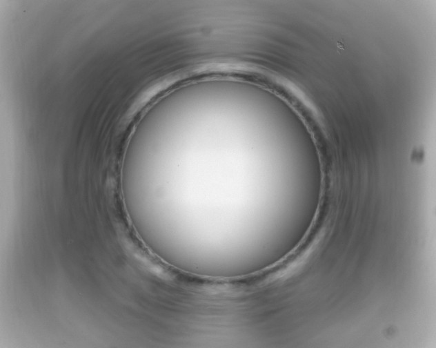 X0000092041025200709121001