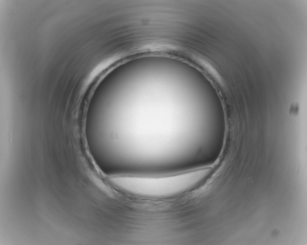 X0000092041026200709121001
