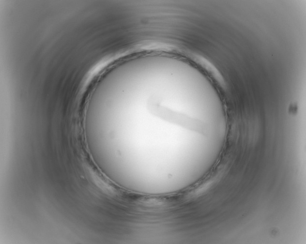 X0000092041027200709121001