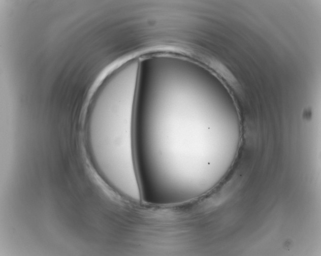 X0000092041028200709121001