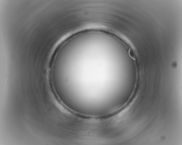 X0000092041029200709121001