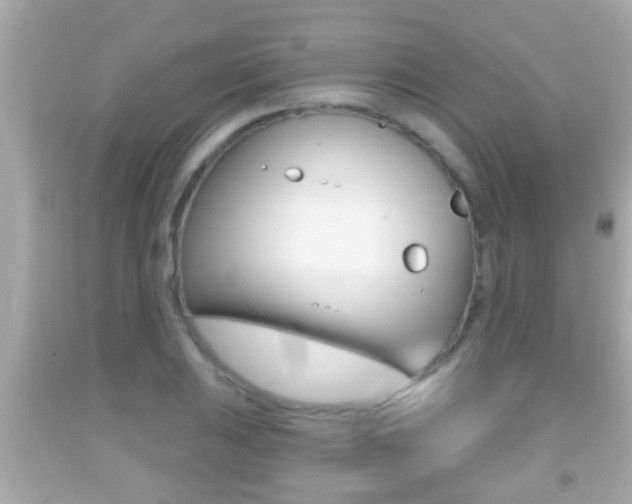 X0000092041031200709121001