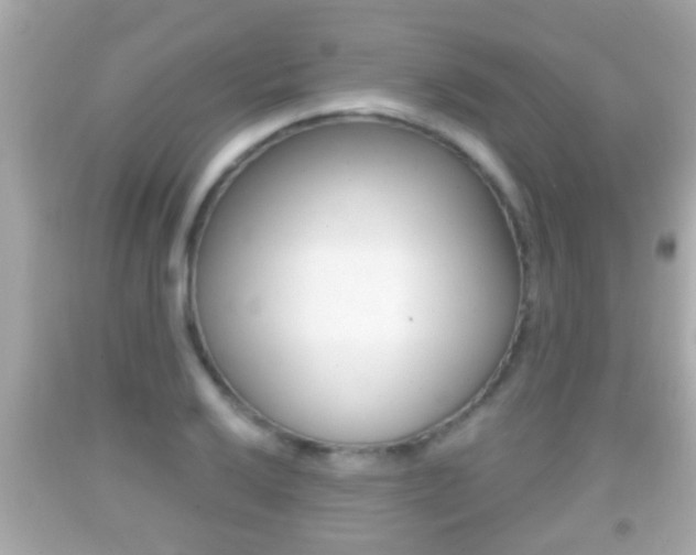 X0000092041032200709121001
