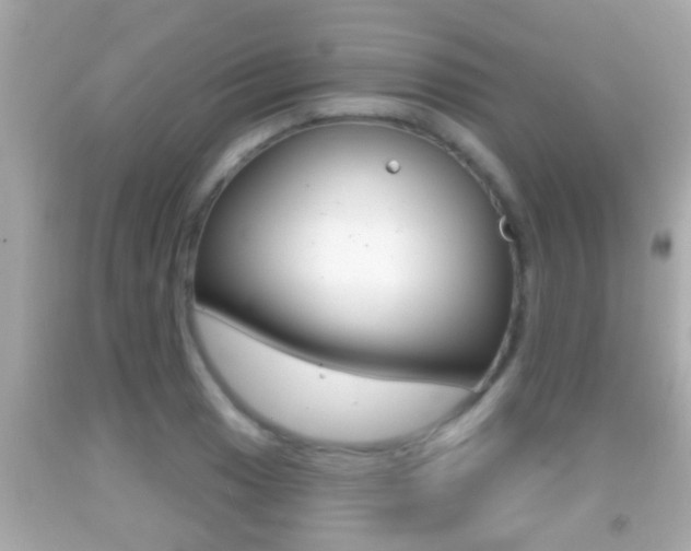 X0000092041033200709121001