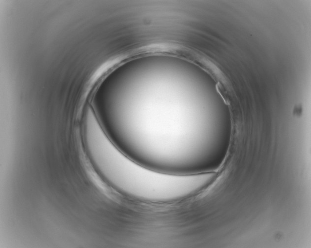 X0000092041034200709121001