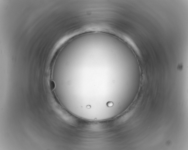 X0000092041035200709121001