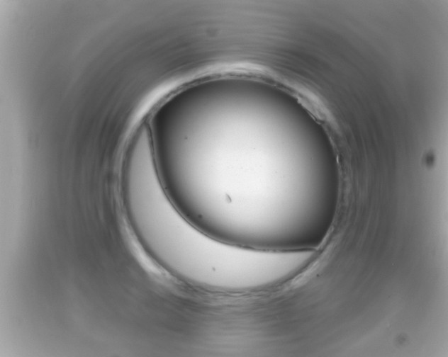 X0000092041038200709121001