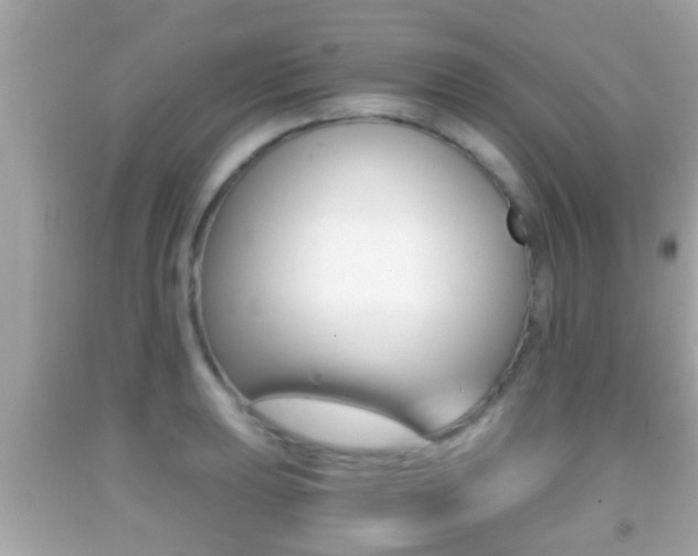 X0000092041039200709121001