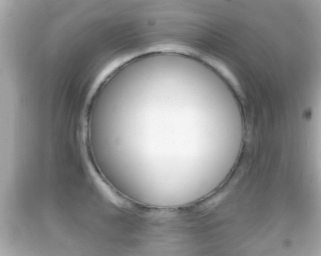 X0000092041040200709121001