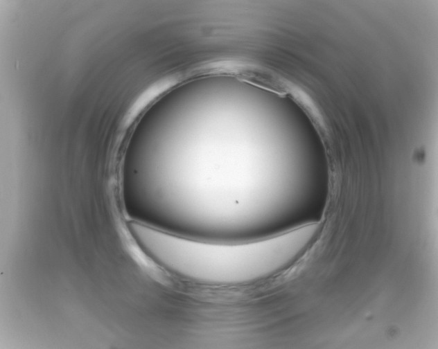 X0000092041042200709121001