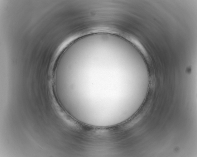 X0000092041043200709121001