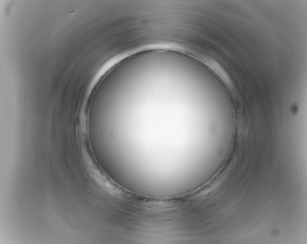 X0000092041044200709121001