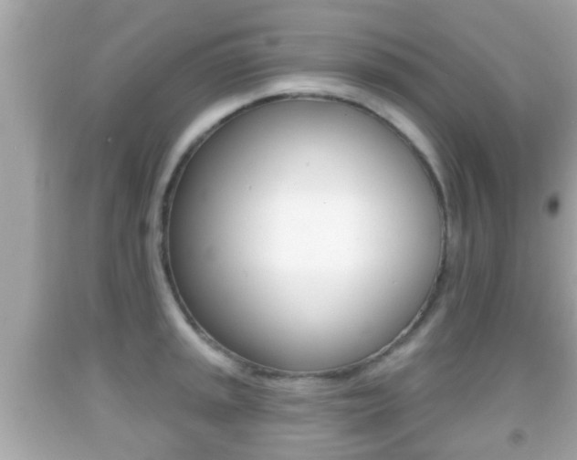 X0000092041045200709121001