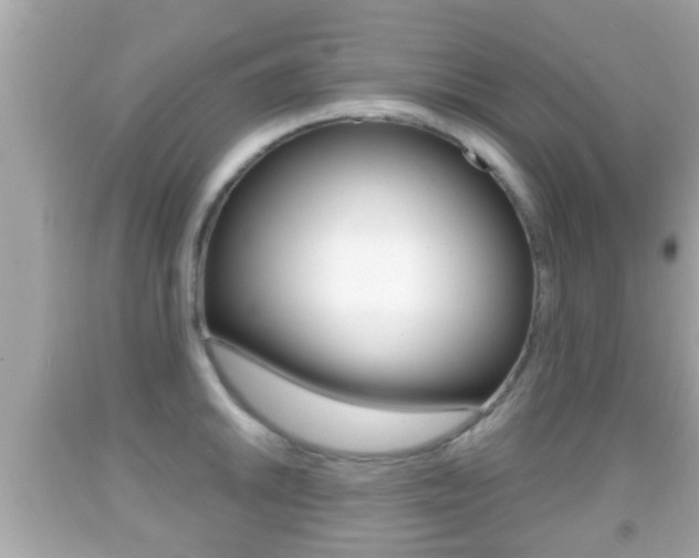 X0000092041046200709121001