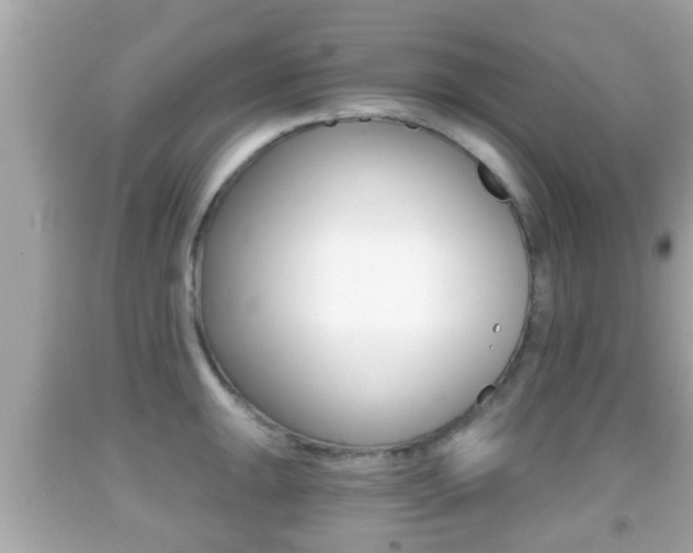 X0000092041047200709121001
