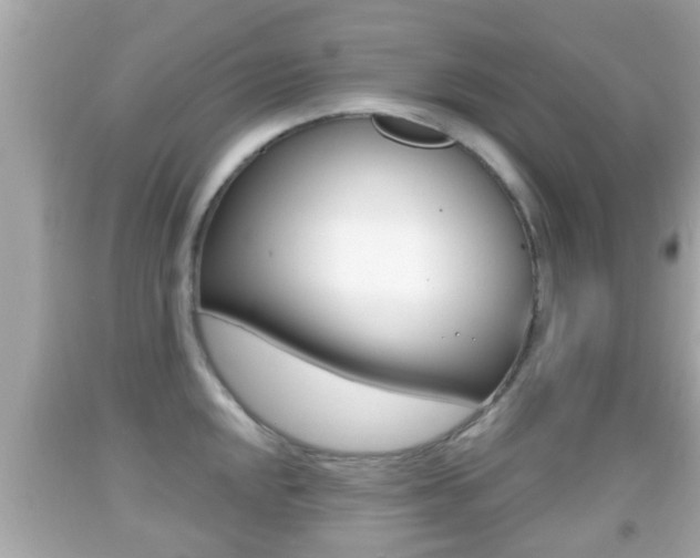 X0000092041048200709121001