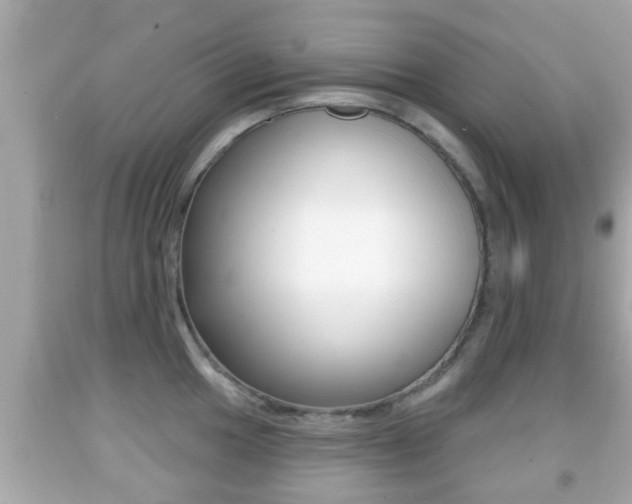X0000092041049200709121001