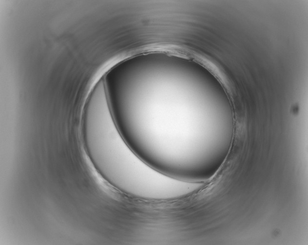 X0000092041050200709121001