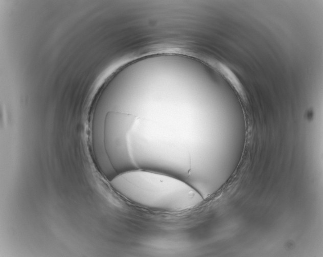 X0000092041051200709121001