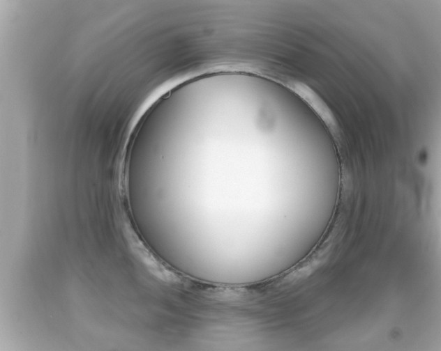 X0000092041052200709121001