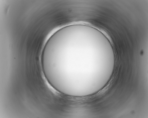 X0000092041054200709121001