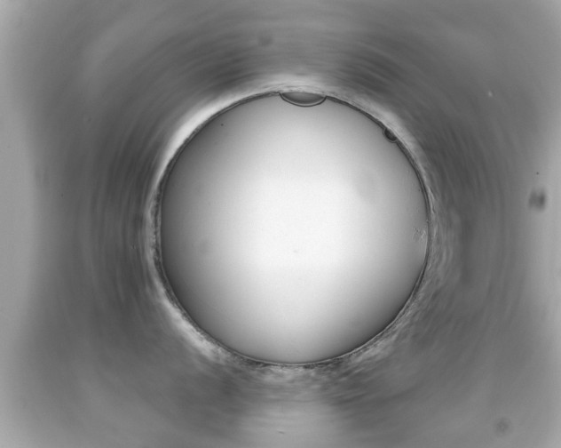 X0000092041056200709121001
