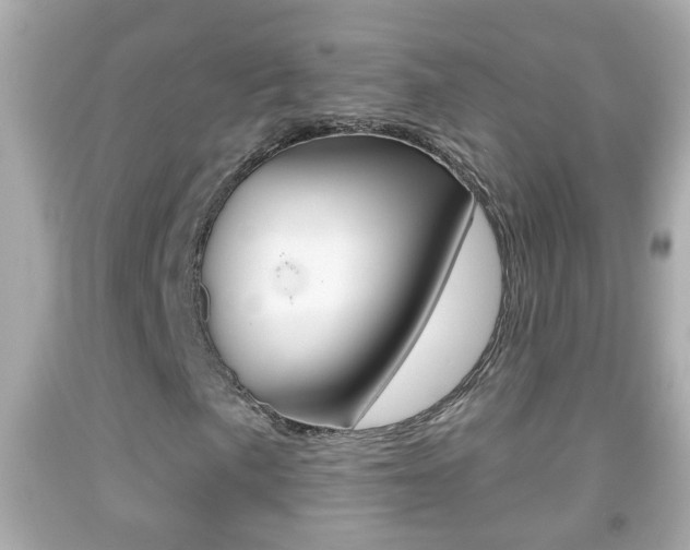 X0000092041057200709121001