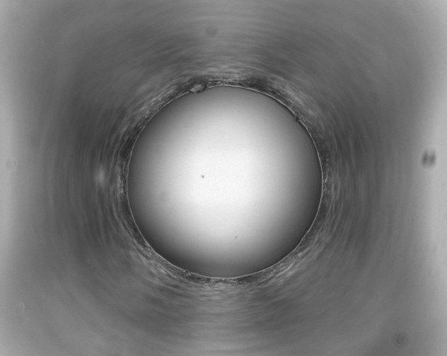 X0000092041058200709121001