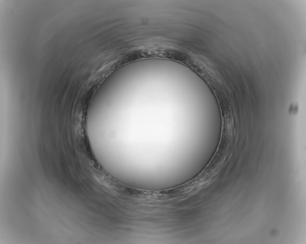 X0000092041060200709121001