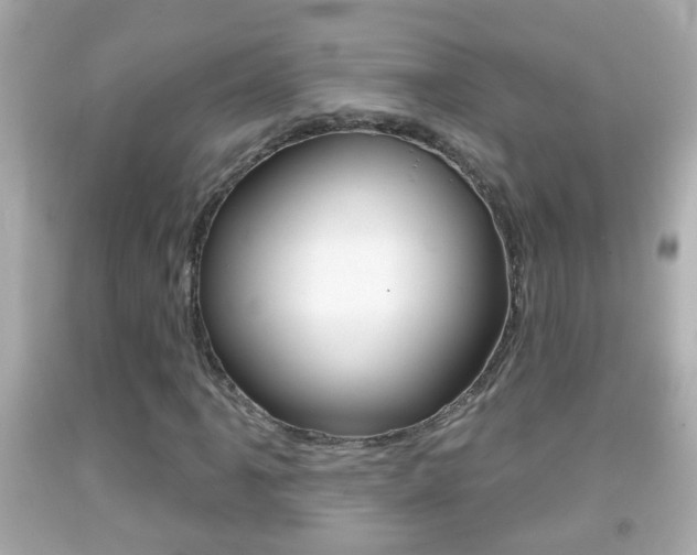 X0000092041061200709121001
