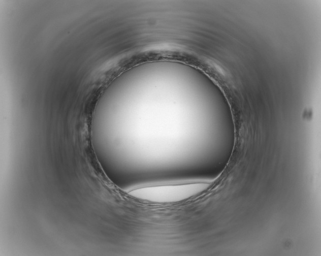 X0000092041062200709121001