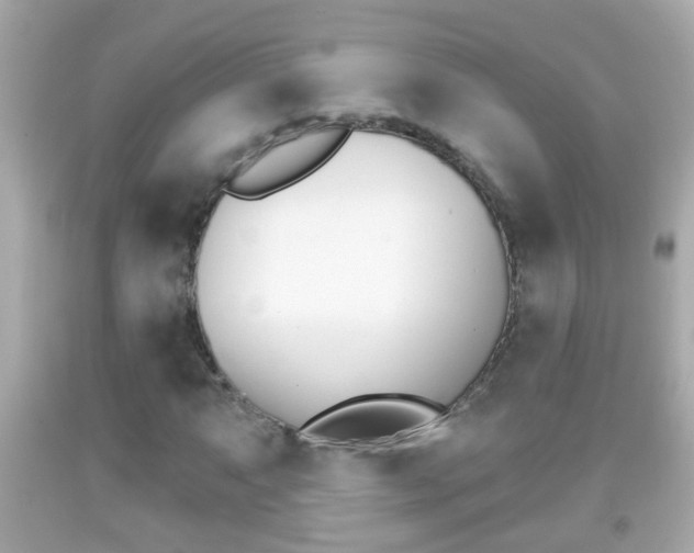 X0000092041063200709121001