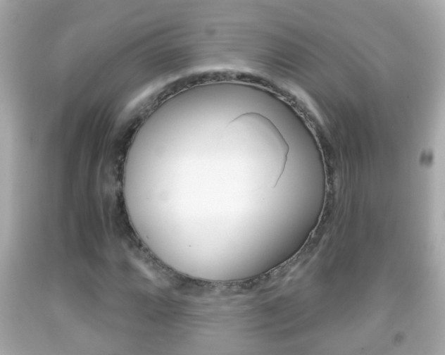 X0000092041064200709121001